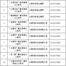 云南信息報旗下六產品獲首批互聯網新聞信息服務許可，賦能區域信息服務新格局
